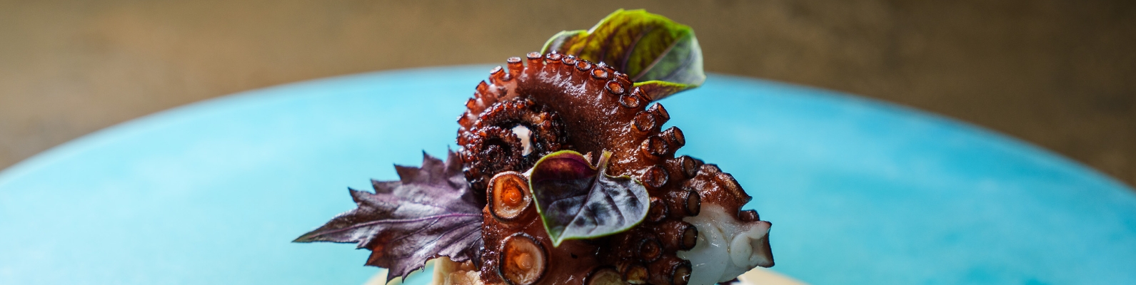 お菓子への真摯な哲学から生まれたイノベーティブ料理